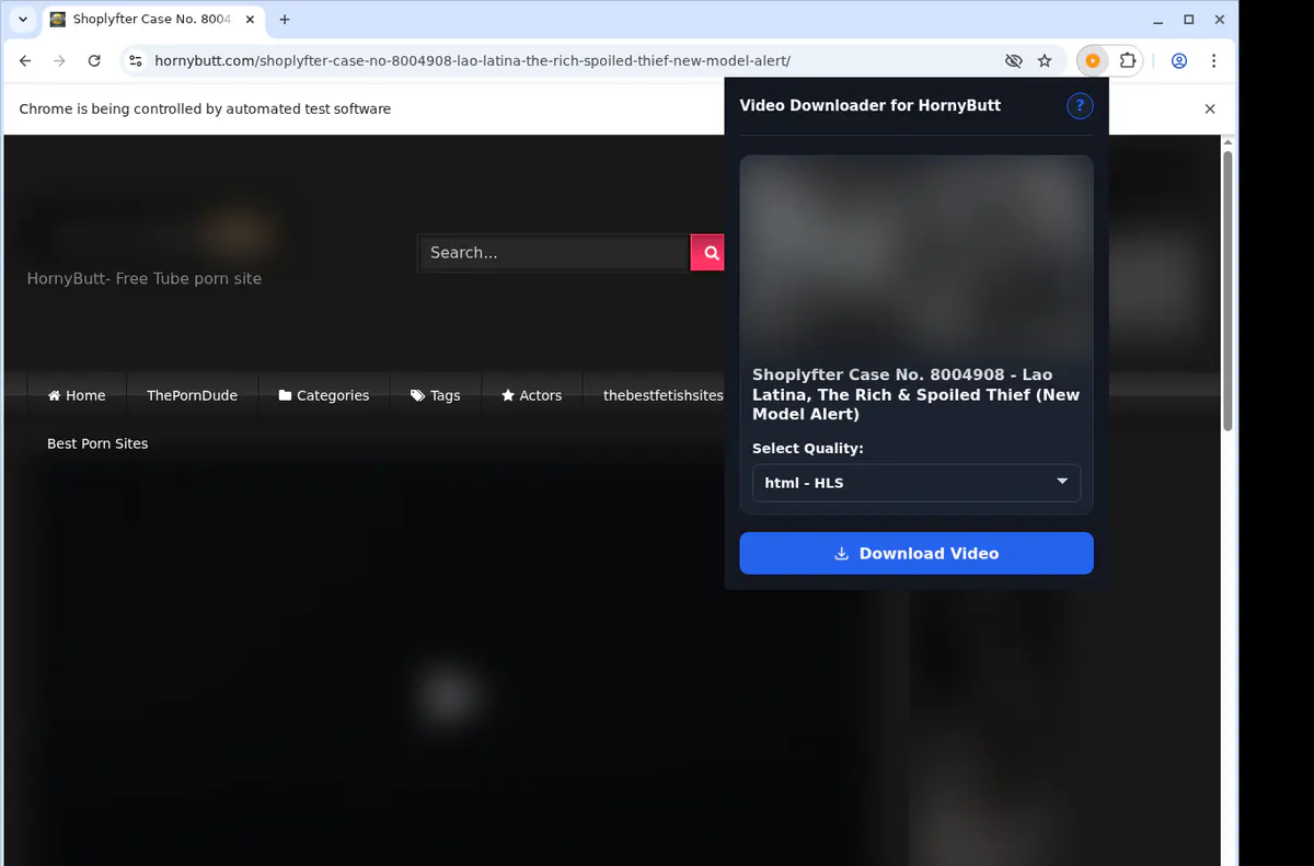 Hornybutt Video Downloader screenshot 3